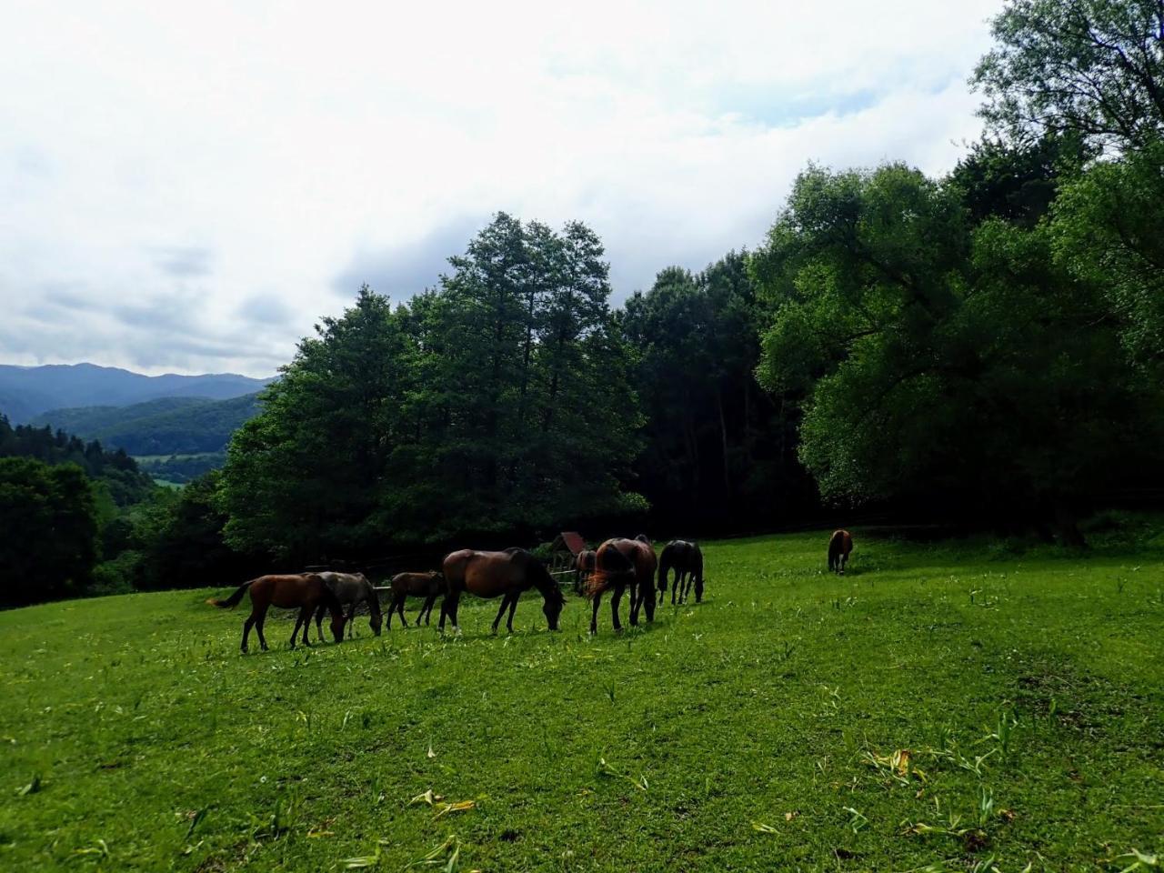 Zrebcin Mlyncok Leilighet Slovenska Lupca Eksteriør bilde